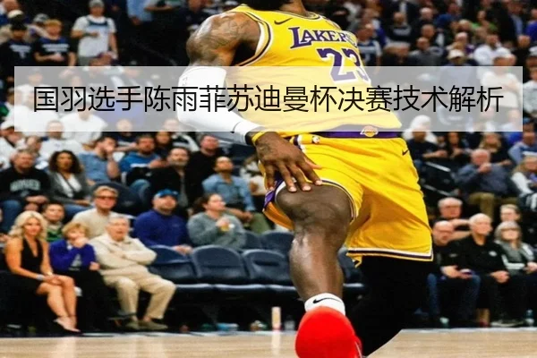 国羽选手陈雨菲苏迪曼杯决赛技术解析 - yabo